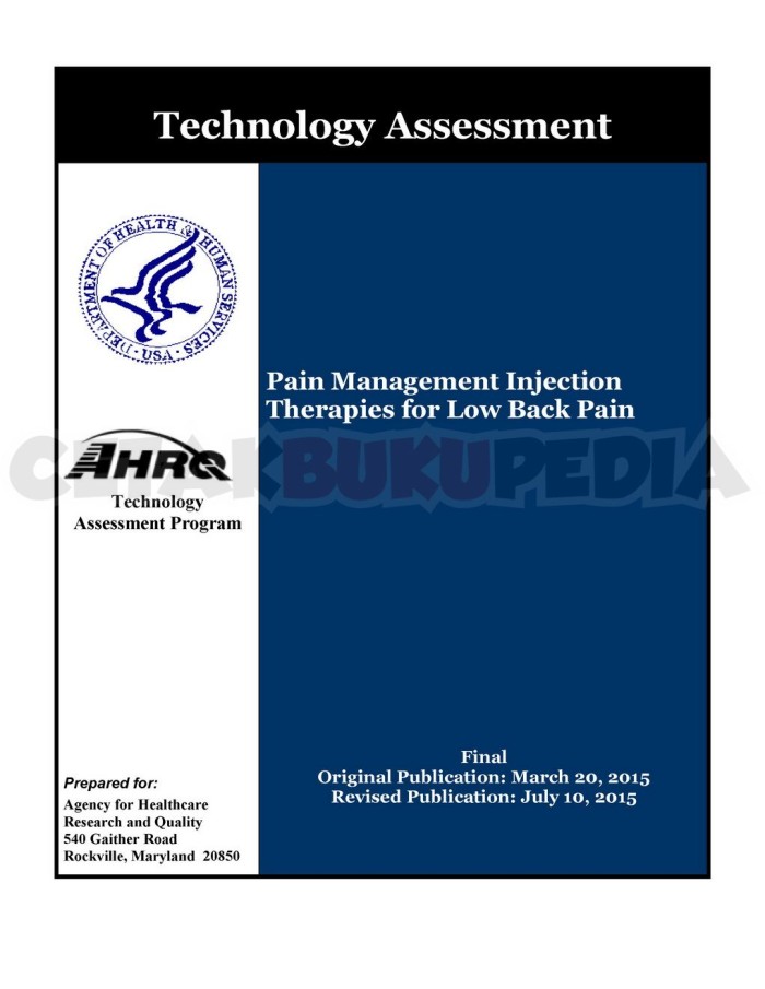 Pain Management Injection Form Pain Management Injection Therapies for Low Back Pain - Cetakebook.com